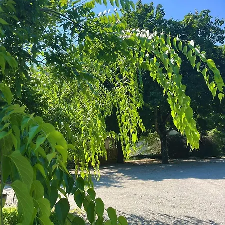Youpendi Campsite