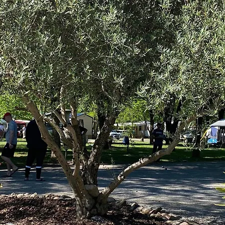 Youpendi Campsite Tournon-sur-Rhone